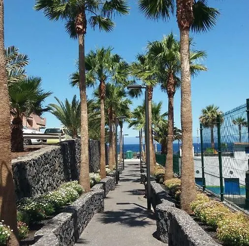 Maravillosa Candelaria